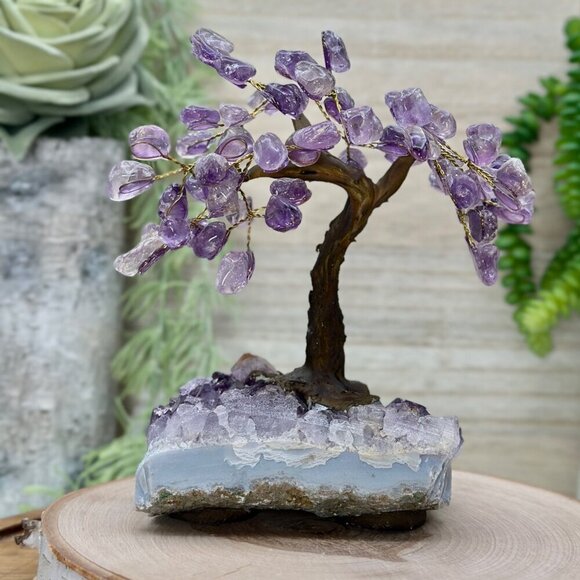 Amethyst Bonsai Crystal Tree Of Life Geode Base Gemstone Chakra Tree 7" Tall (E) - Picture 14 of 16
